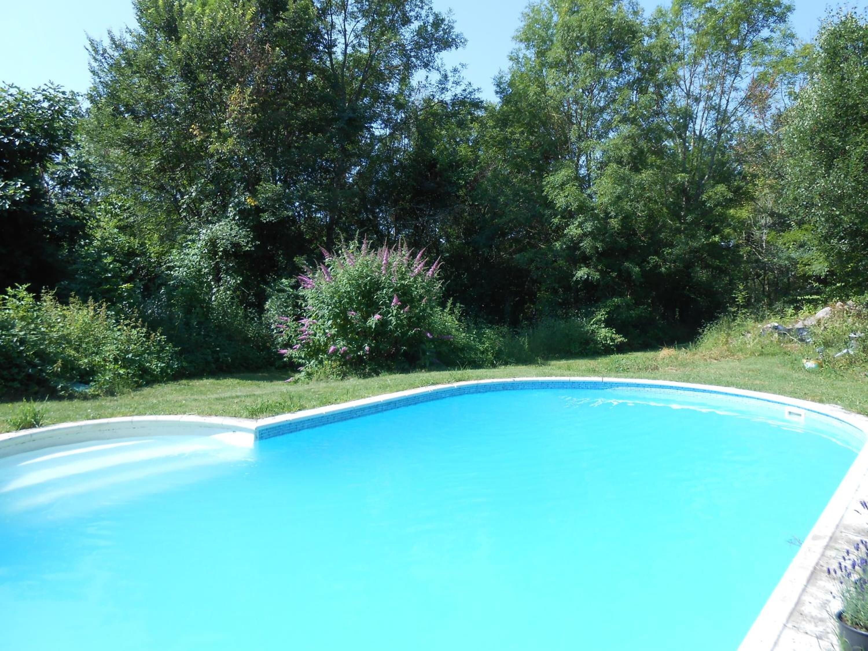 A clear blue swimming pool surrounded by lush greenery and trees.