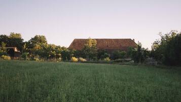 Eine ländliche Landschaft mit einem großen Feld im Vordergrund und einem Bauernhof im Hintergrund.