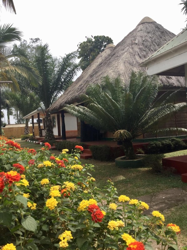 A thatched-roof building with a garden in front.