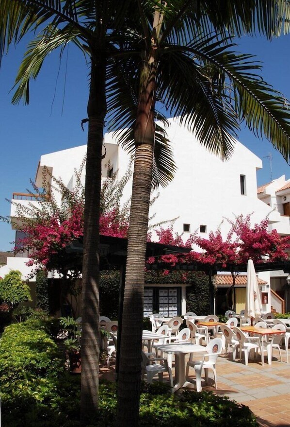 A white building with balconies, surrounded by palm trees and pink flowering plants. - Apartamentos Hg Cristian Sur (Arona)