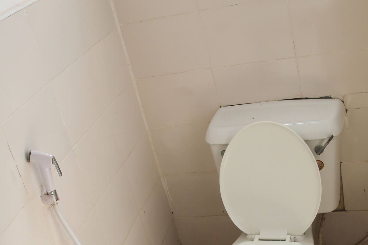 Ducha, toallas