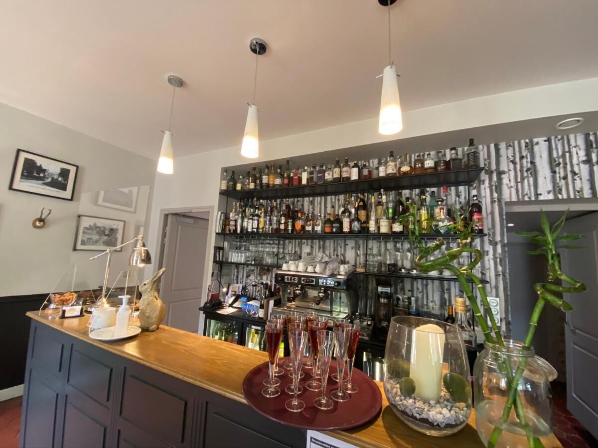 Eine Bar mit Regalen voller Spirituosenflaschen, einer Theke mit Gläsern und einer Zierpflanze.