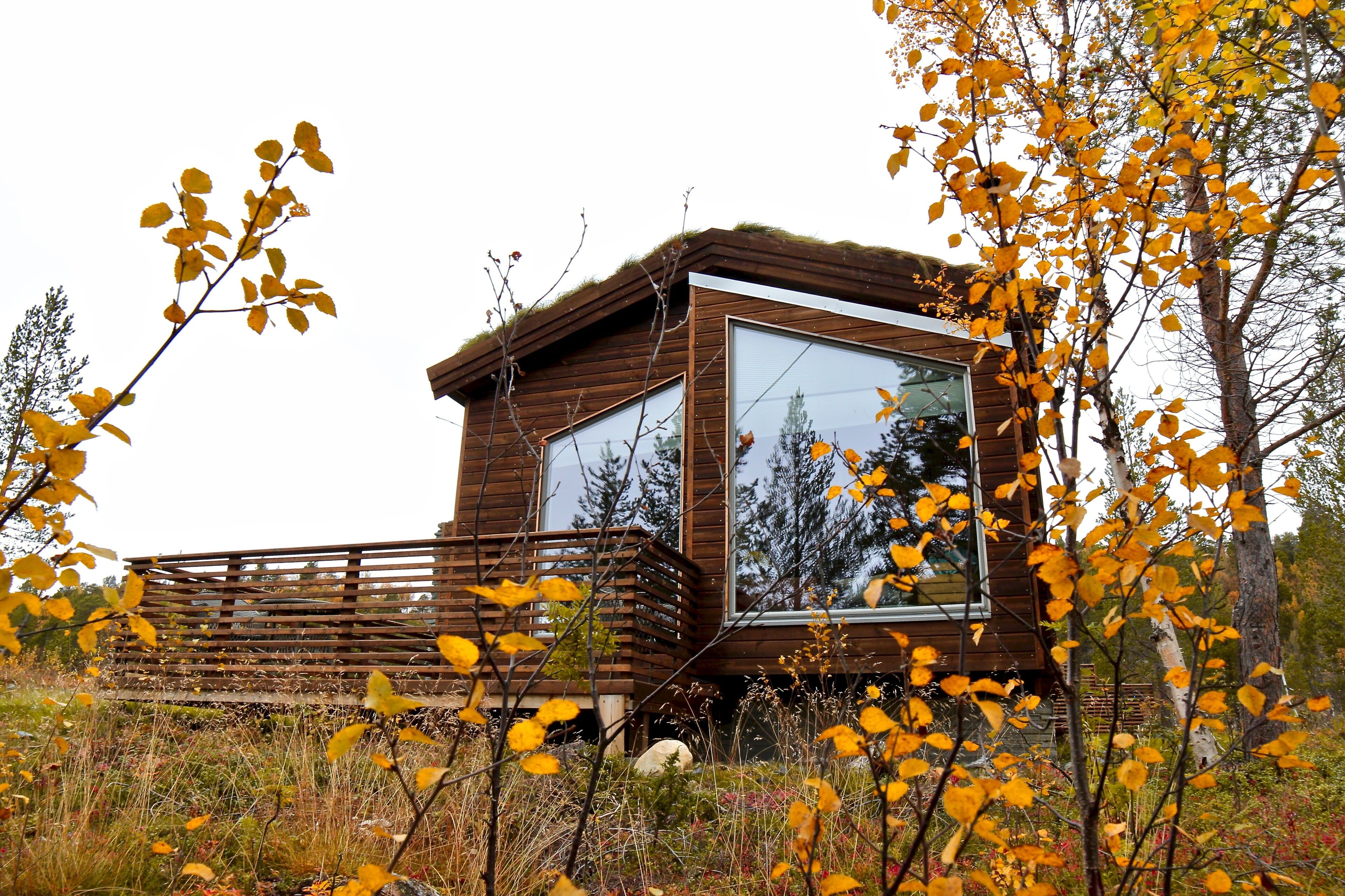 Una cabaña de madera con un ventanal grande, rodeada de follaje otoñal.