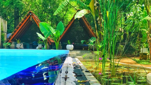 A pool with a glass edge, surrounded by lush greenery and two thatched-roof structures.