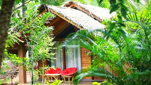 A wooden cabin with a thatched roof, surrounded by lush greenery.