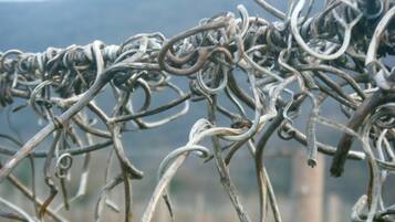 A close-up of a tangled metal fence with a blurred background of hills.