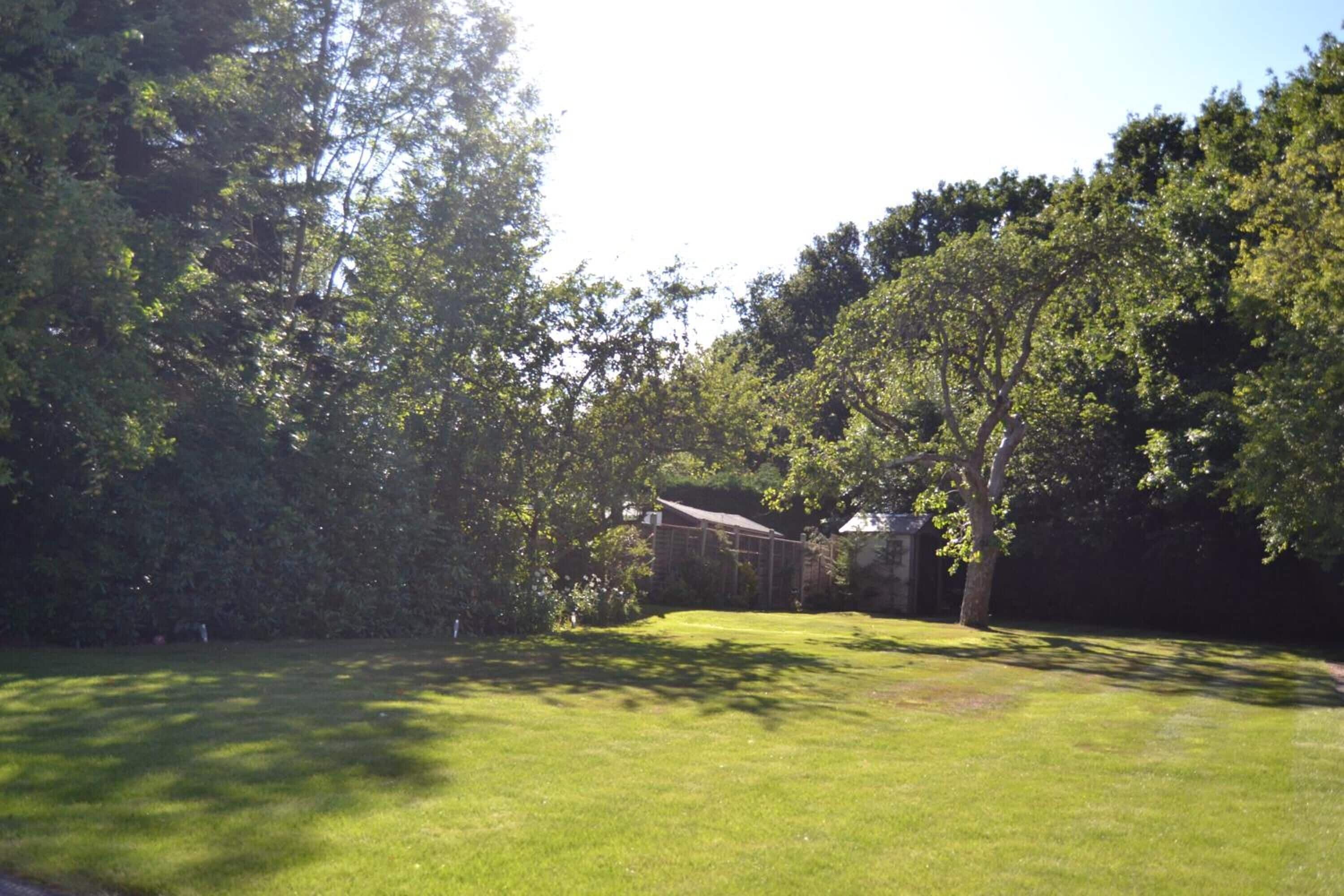 A grassy outdoor area with trees and a building in the background.
