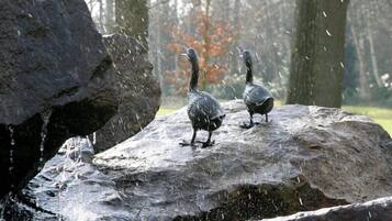 Dos pájaros posados sobre una roca grande en un área boscosa.