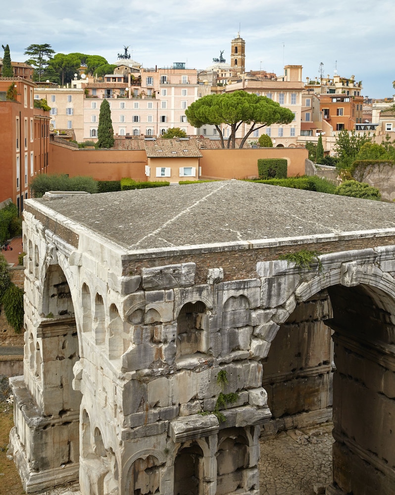 Rhinoceros Roma by null