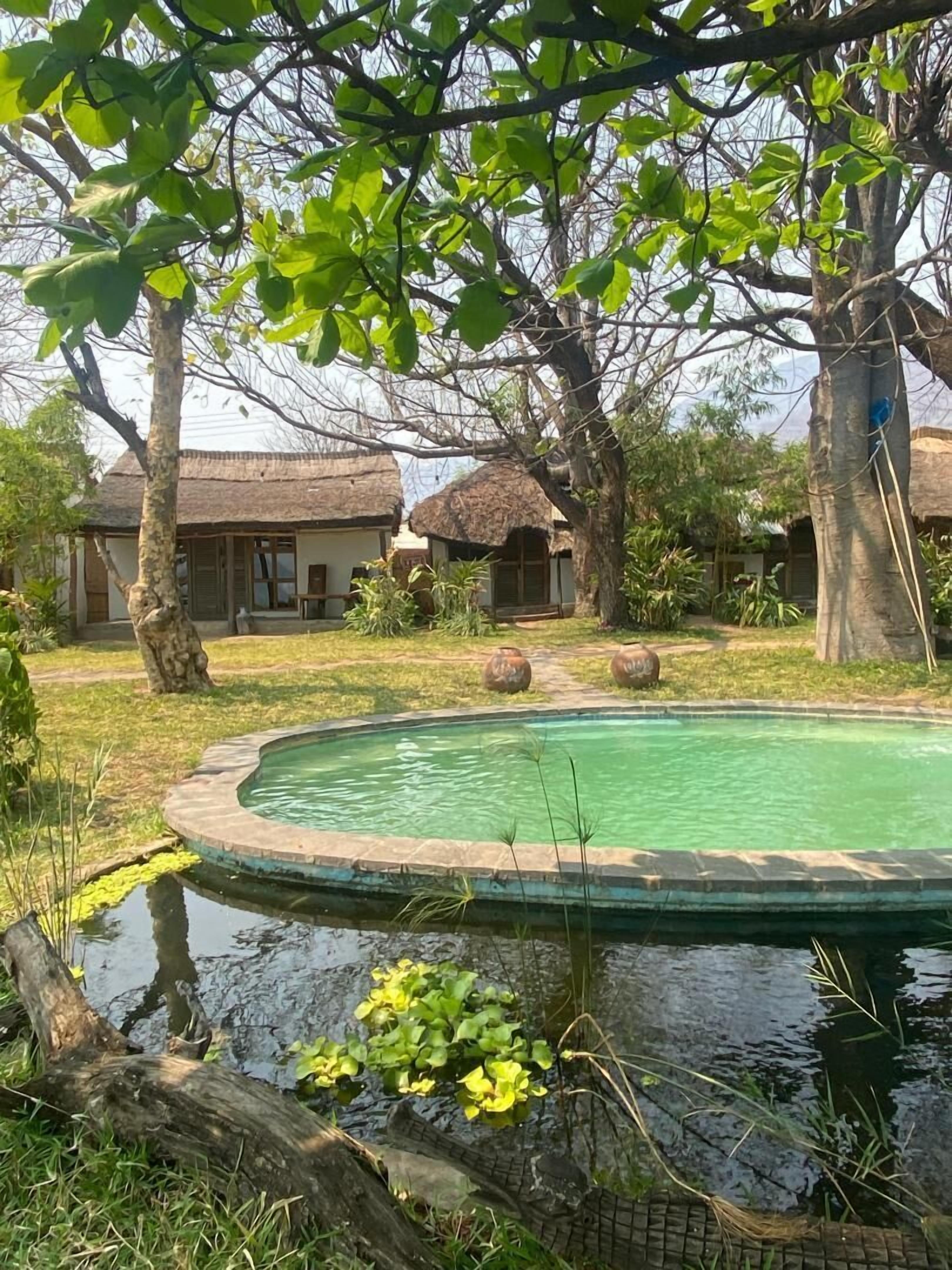 A pool surrounded by trees and a thatched-roof building.