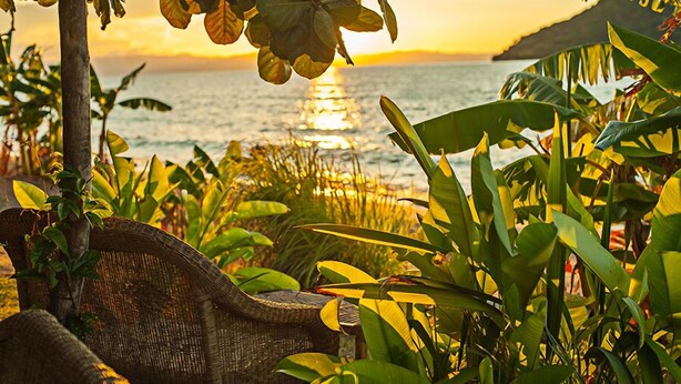 A wicker chair in a lush garden with tropical plants and a view of the ocean at sunset. - Mgoza Lodge (Cape Maclear)