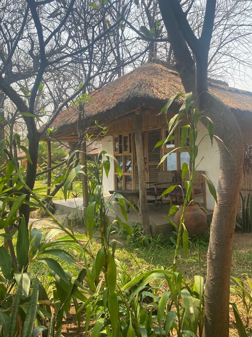 A rustic house with a thatched roof, surrounded by lush greenery and a palm tree.