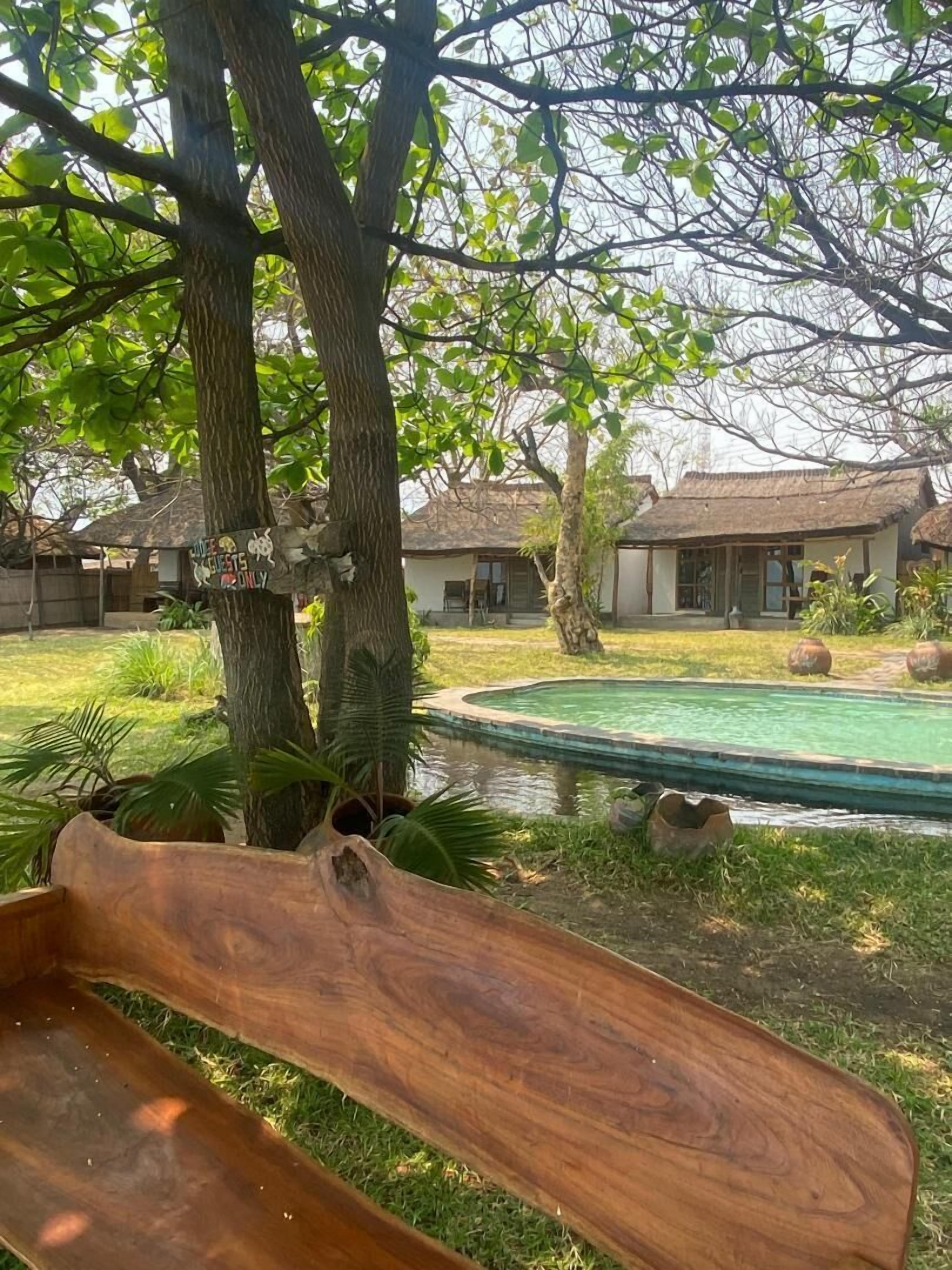 Zona piscina con una panchina di legno, un albero e una casa sullo sfondo.