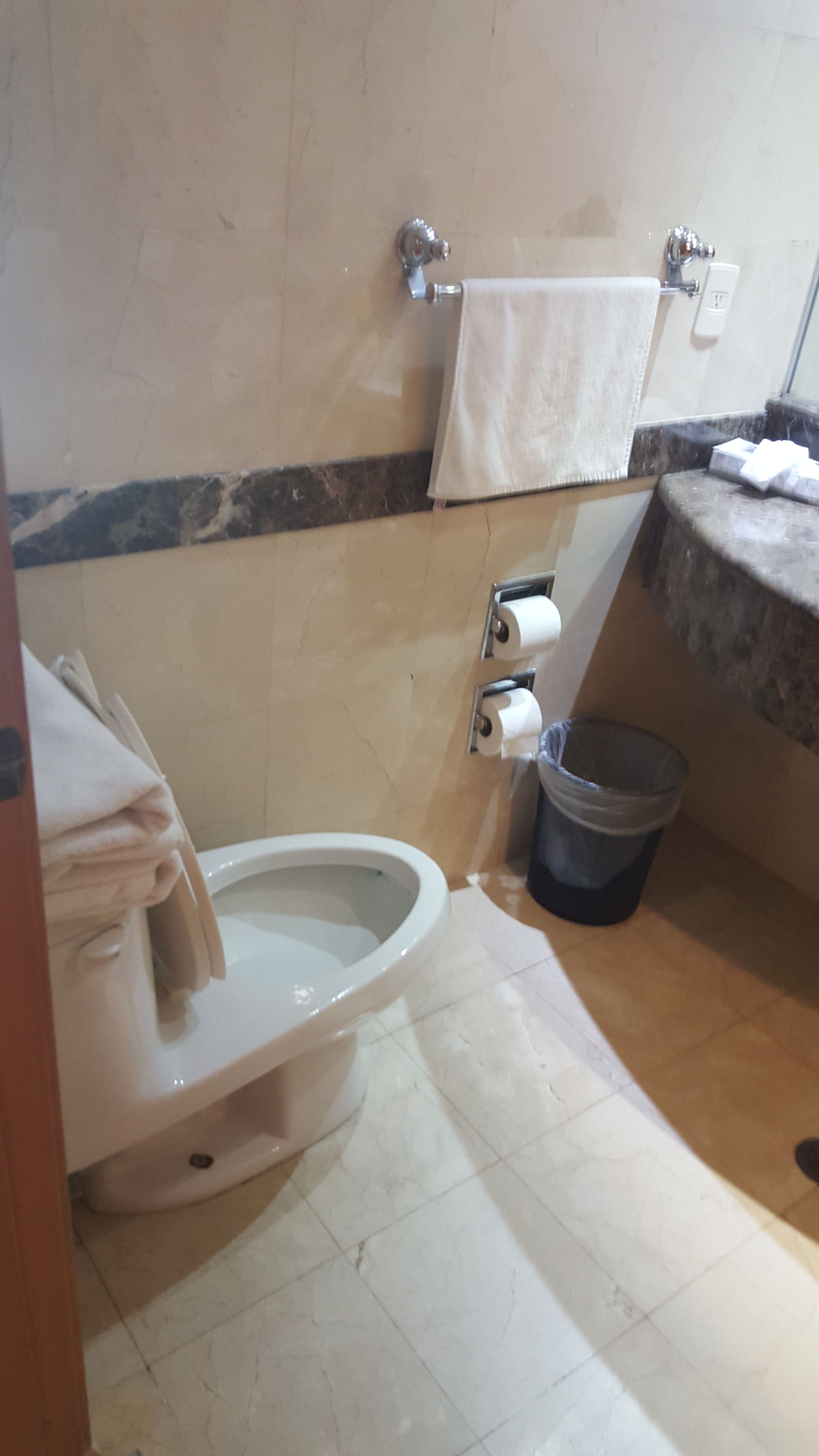 A bathroom with a toilet, a trash bin, and a towel rack.