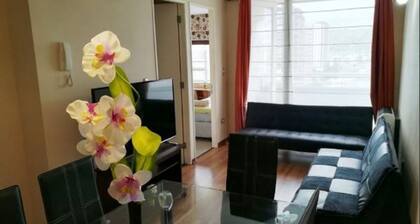 Departamento Caburgua Temuco