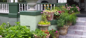 McFarlin House B&B