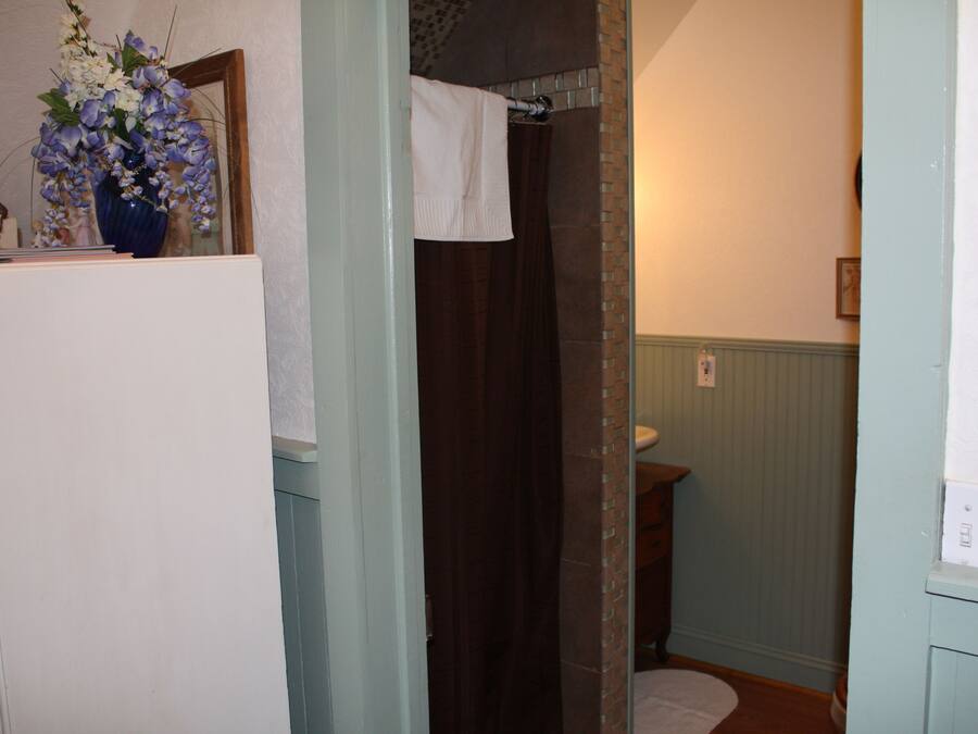 A bathroom with a shower, a sink, and a mirror.