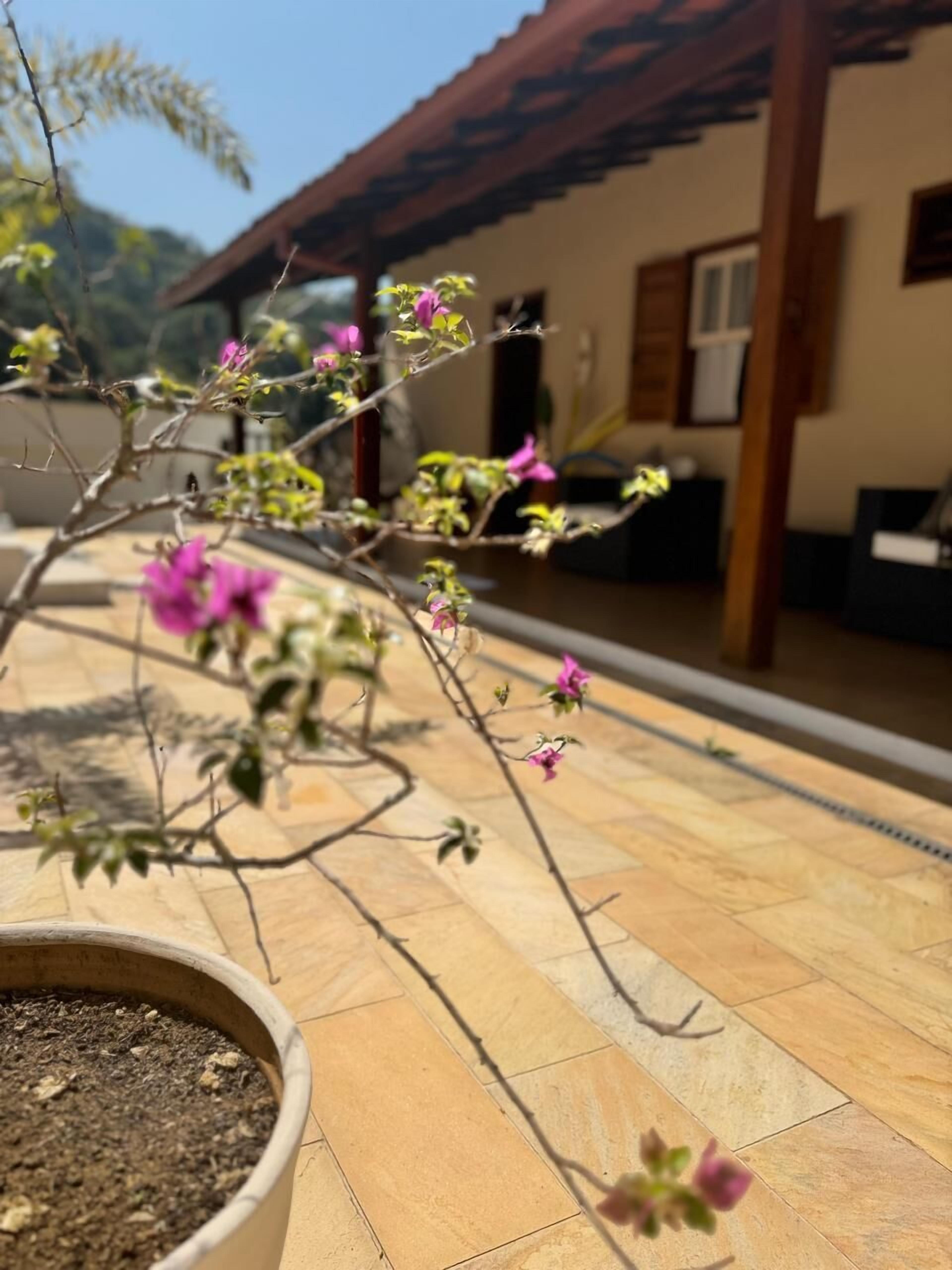 Ein Blumentopf mit rosa Blüten in einem Innenhof mit Fliesenböden und einer Holzpergola.