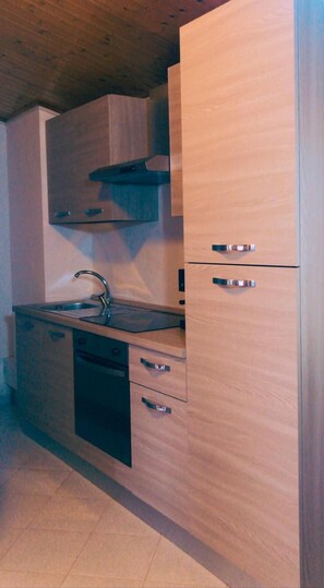 Full-size fridge, microwave, oven, stovetop