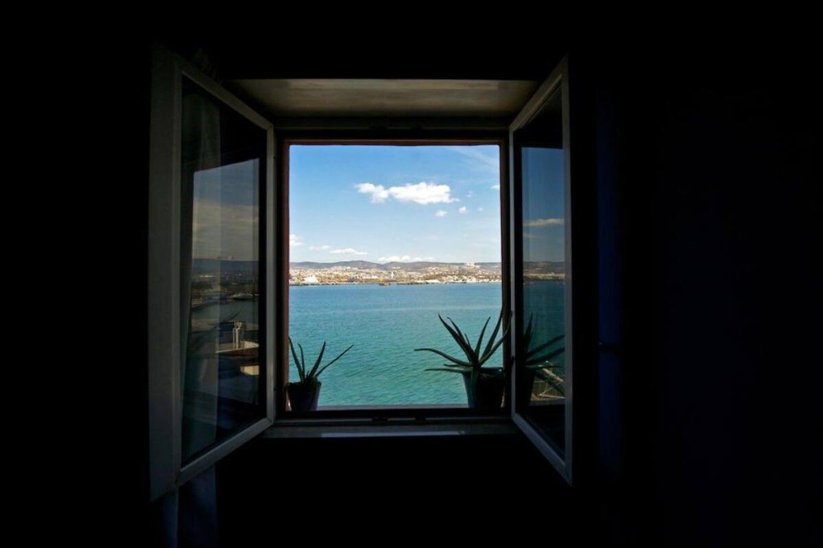 A window with a view of a coastal city, two potted plants, and a clear sky.