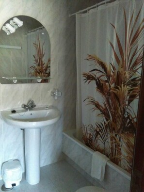 Bathtub, bidet, towels