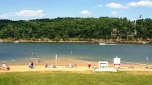 A beach with a grassy foreground, a sandy shore, and a forested hill in the background. - The Resort (Falls of Rough)