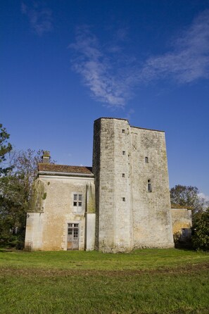 Front of property - Chambre d'hôtes Château De Champdolent (Champdolent)