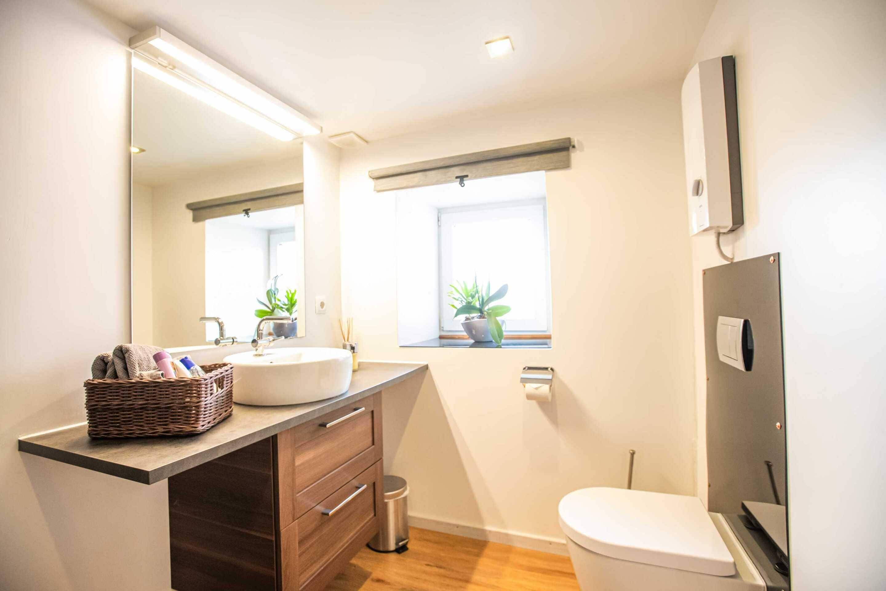 Casa de banho moderna com um espelho grande, lavatório, sanita e janela com plantas.