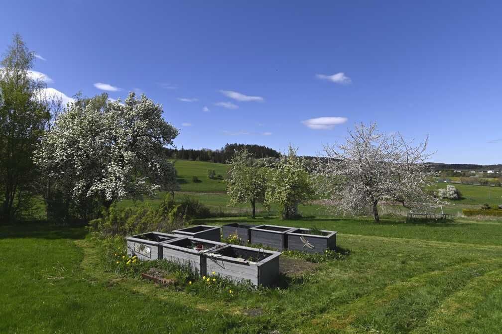 A rural landscape with green fields, a clear sky, and a row of raised garden beds.