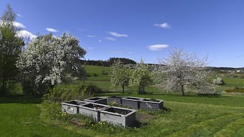 Un paisaje rural con campos verdes, cielo despejado y una hilera de bancales de jardín.