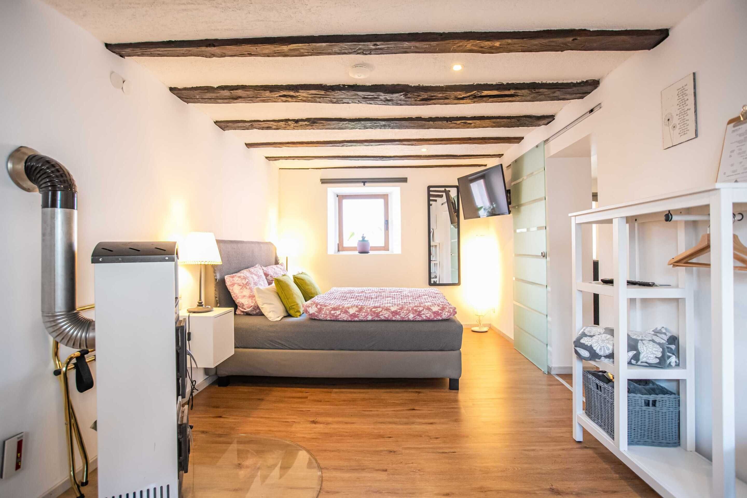 A bedroom with a bed, a heater, a TV, and a wardrobe.