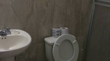 Buồng tắm vòi sen, máy sấy tóc, khăn tắm