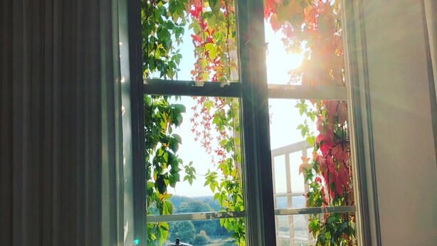 A window with a view of greenery and a landscape. - Tastecelebration Residence (Brosarp)