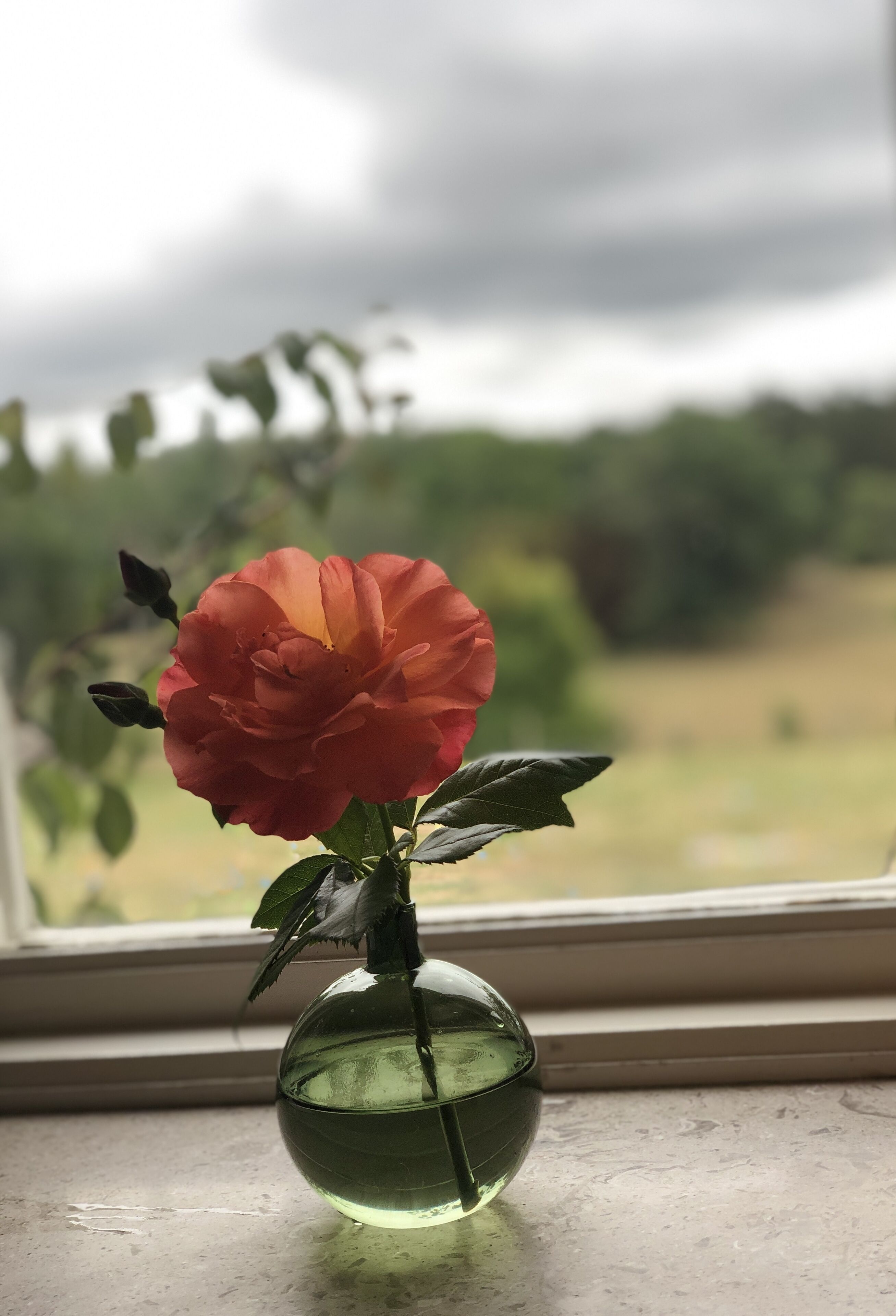 double room with own bathroom | individually furnished, free wifi, bed sheets