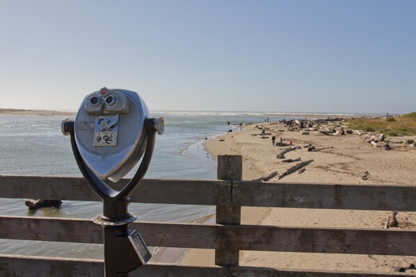 A pair of binoculars on a wooden railing overlooking a beach with scattered rocks and people.