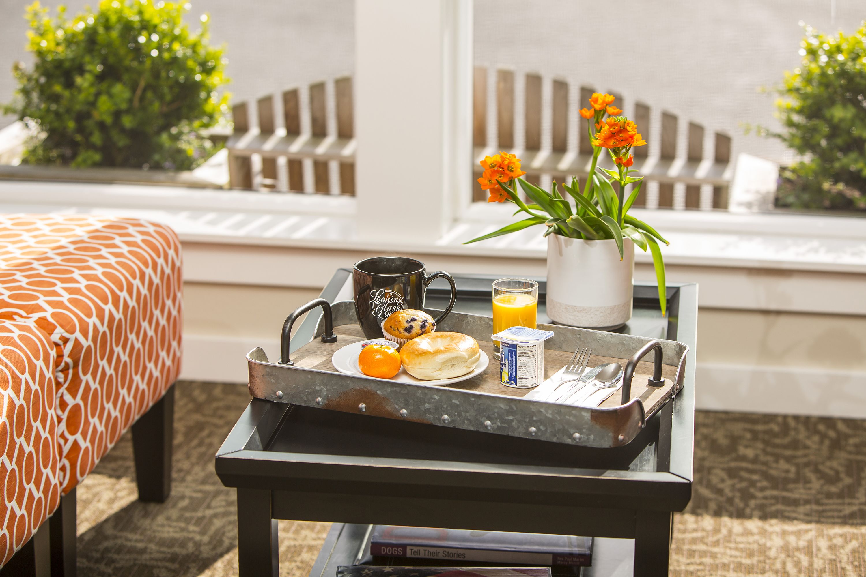 free daily continental breakfast