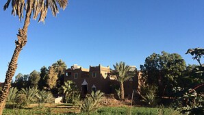 A traditional building with a flat roof, surrounded by palm trees and other vegetation. - Jnane dar diafa (Tamegroute)