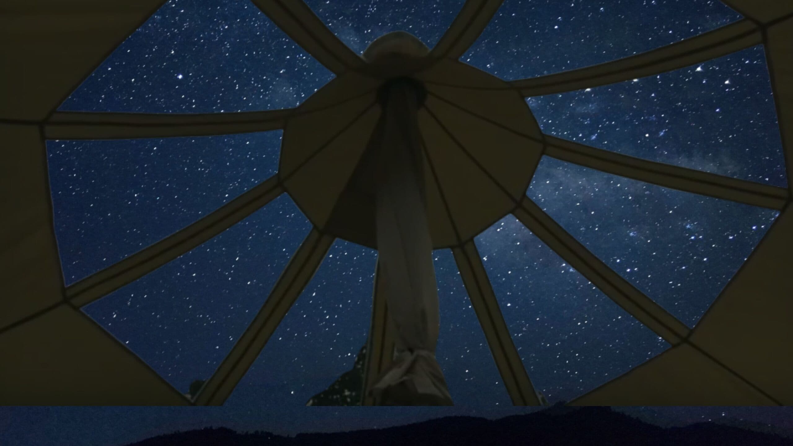Uma roda gigante contra um céu noturno estrelado.