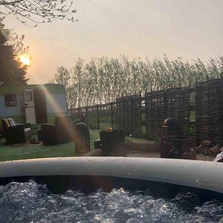 Imagen general. Glamping With Llamas