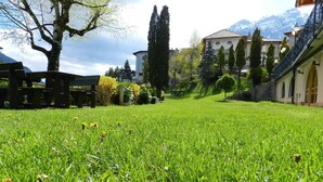 Un patio con césped, una banca, árboles y edificios al fondo.