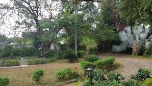 A garden with various plants, a pathway, and a lamp post.