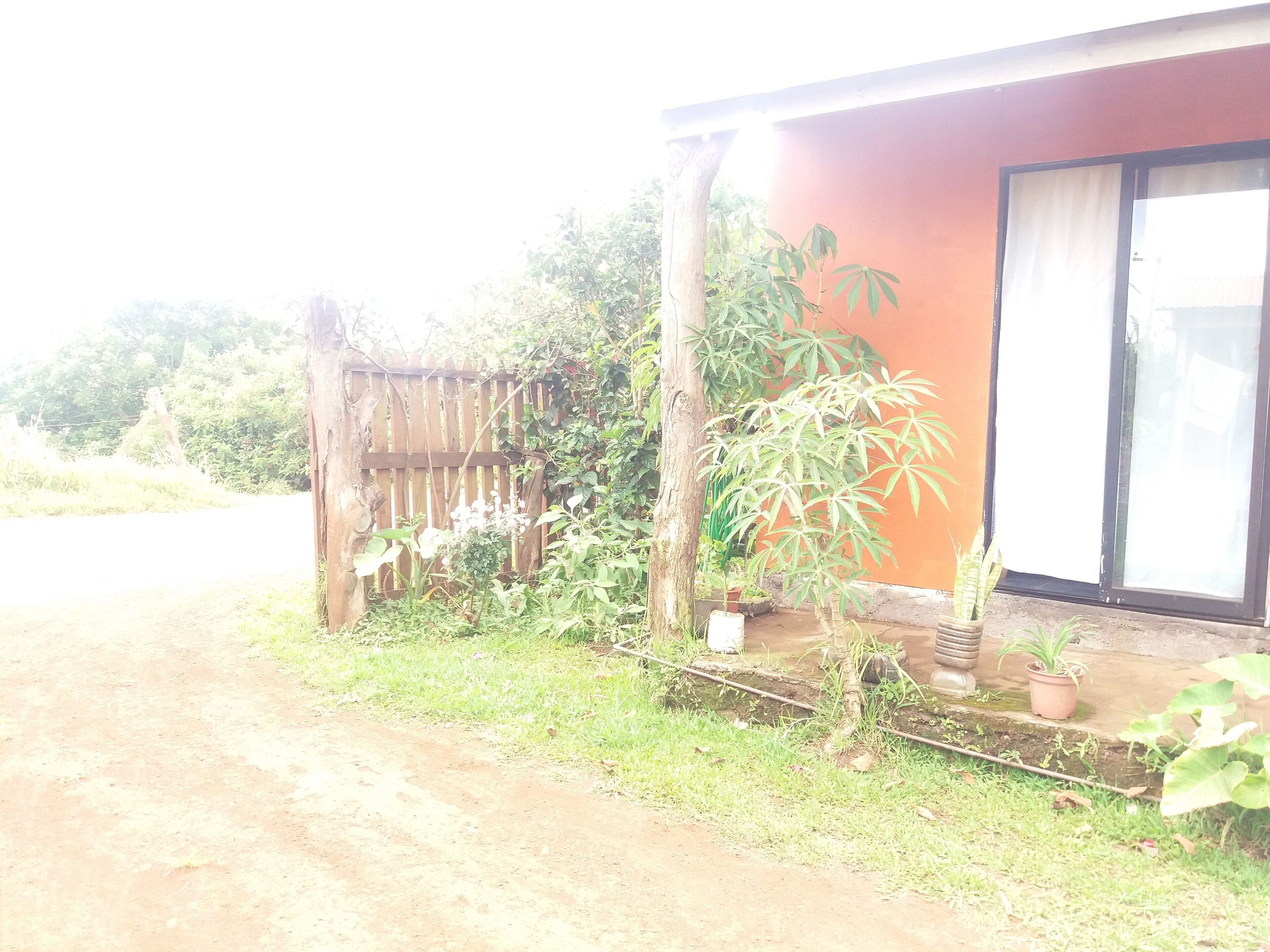 Photo - Cabañas y Hostal Vai Hina'aro