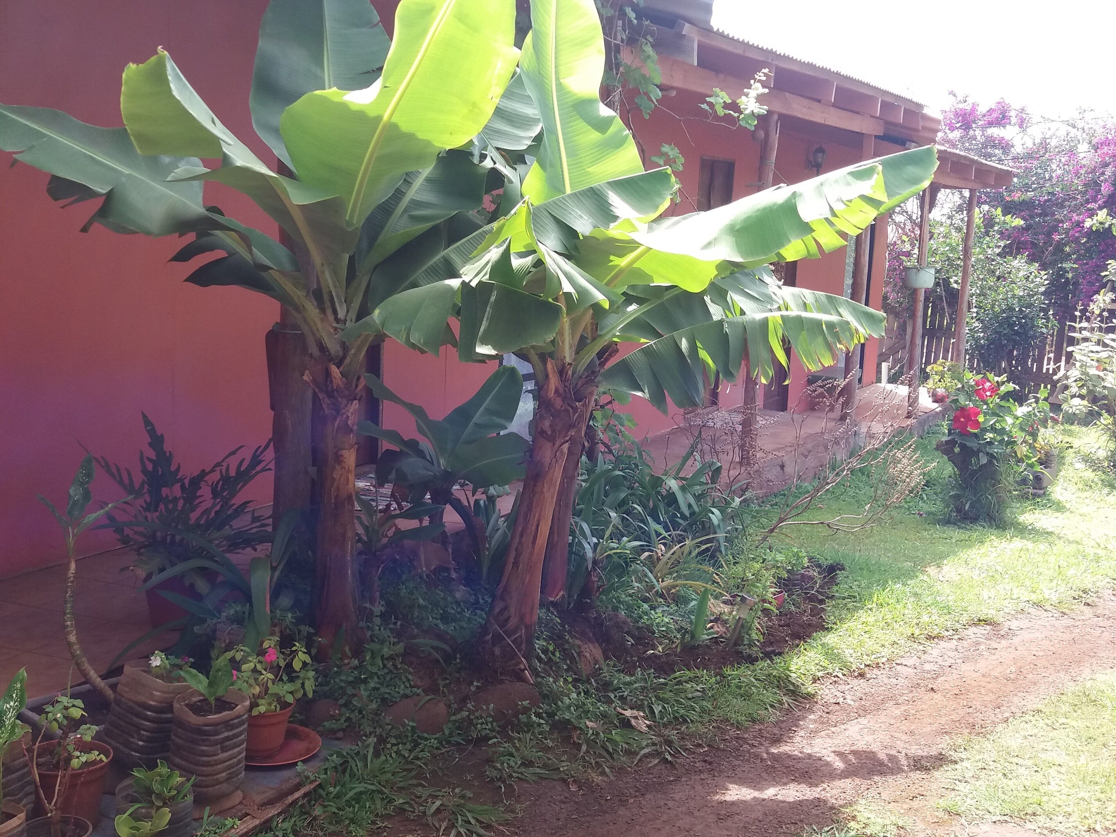 Photo - Cabañas y Hostal Vai Hina'aro