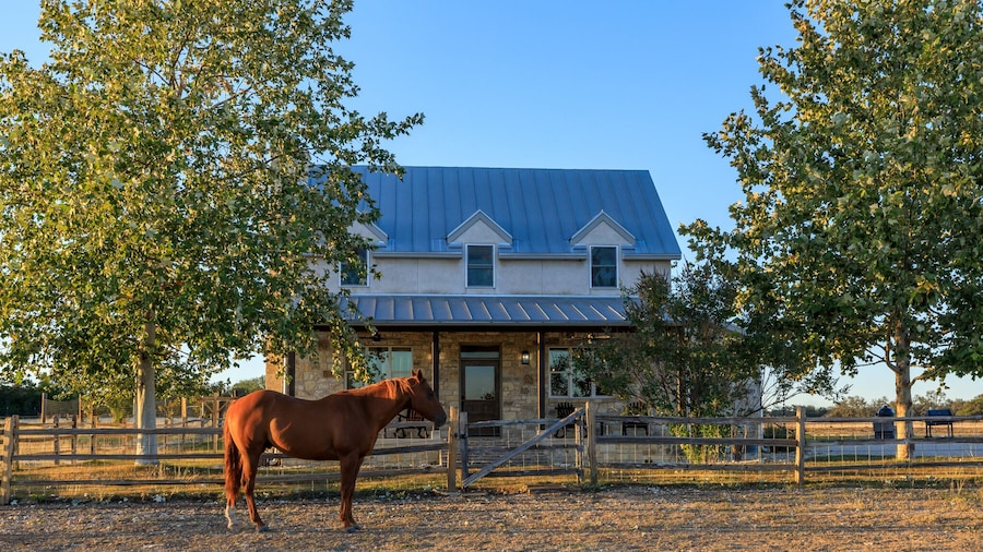TimberRose B&B