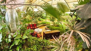 Un invernadero con diversas plantas, un banco de madera y una mesa con sillas.