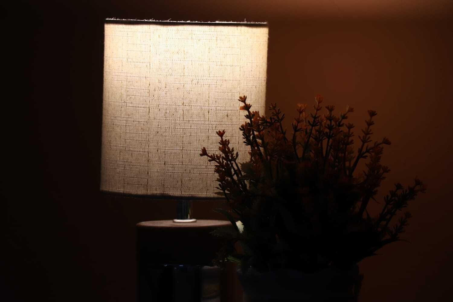 A lamp with a textured shade and a potted plant with branches and leaves.