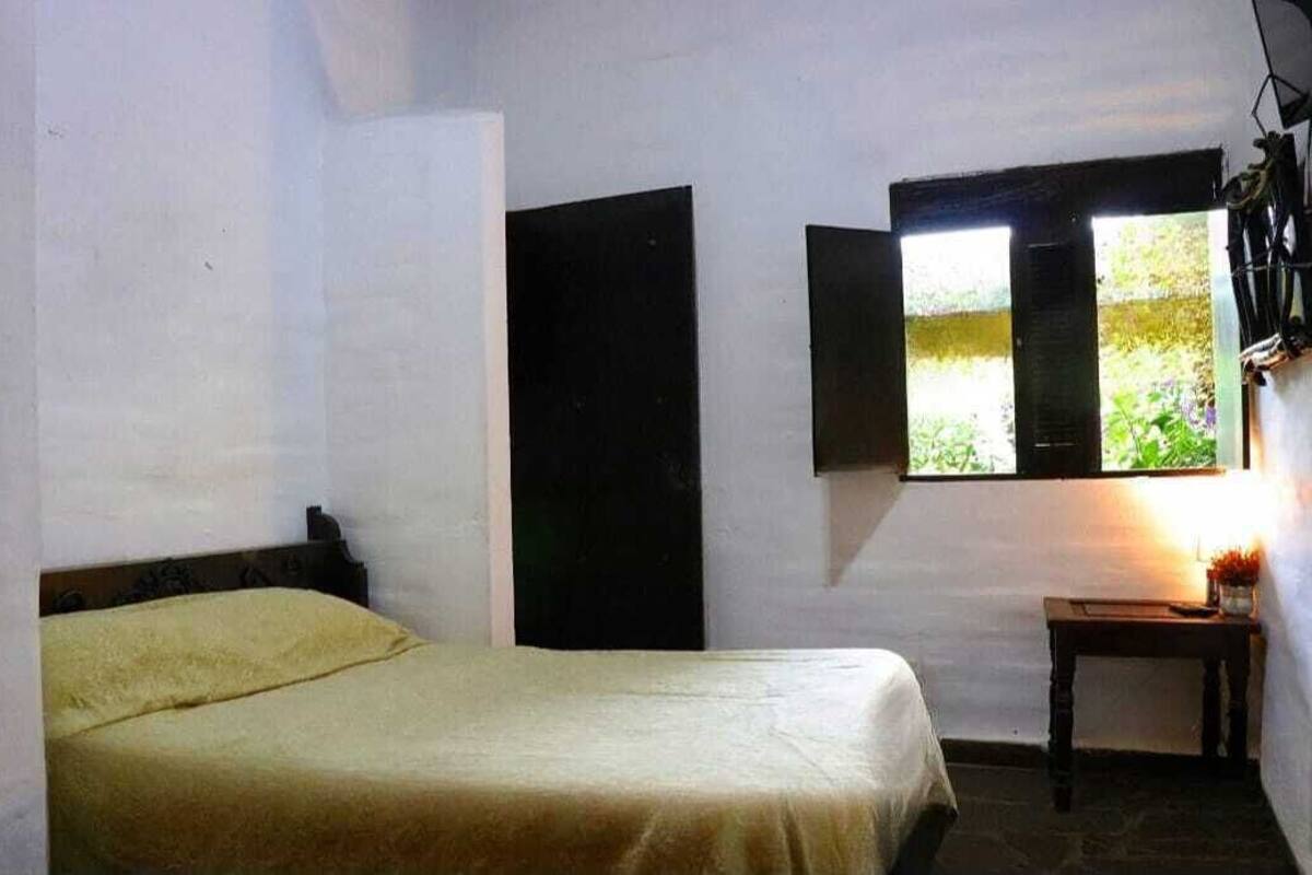 A room with a bed, a window with open shutters, and a small table with a lamp.
