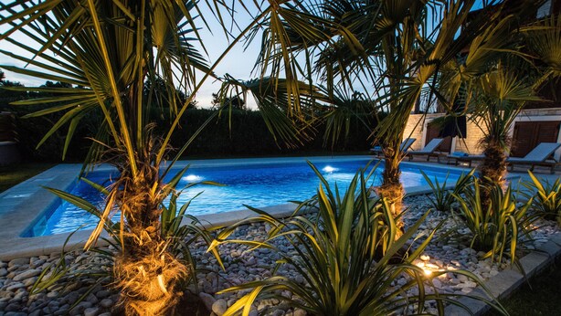 Una piscina rodeada de palmeras y rocas, con sillas de descanso al fondo.