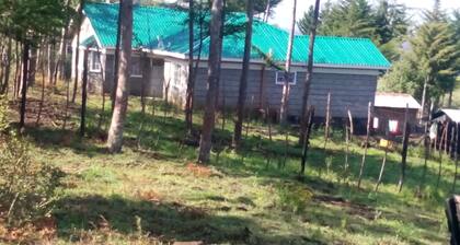 Africa Escapades Homestay
