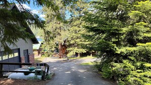 A gravel driveway leading to a lodge with a covered porch and a large tree in the center. - Spectacular 3-Story 7BR CDA Lakefront w-Dock on Secluded Powderhorn Bay (Harrison)